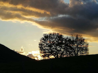 Fotos enviadas por los lectores durante el otoño de 2020.