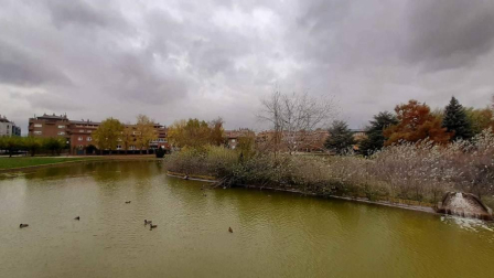 Fotos enviadas por los lectores durante el otoño de 2020.