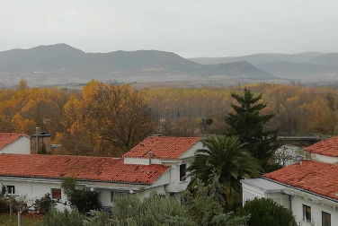 Fotos enviadas por los lectores durante el otoño de 2020.