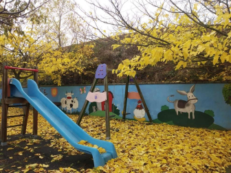 Fotos enviadas por los lectores durante el otoño de 2020.