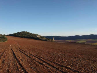 Fotos enviadas por los lectores durante el otoño de 2020.