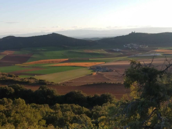 Fotos enviadas por los lectores durante el otoño de 2020.