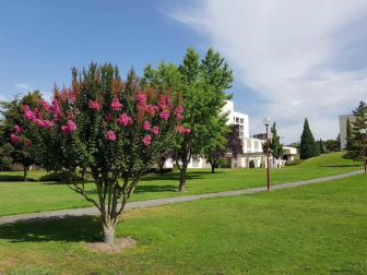 Fotos enviadas por los lectores durante el otoño de 2020.