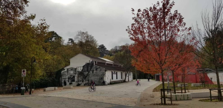 Fotos enviadas por los lectores durante el otoño de 2020.