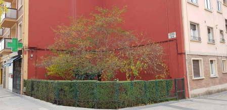 Fotos enviadas por los lectores durante el otoño de 2020.