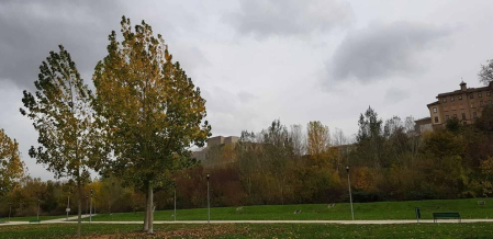Fotos enviadas por los lectores durante el otoño de 2020.