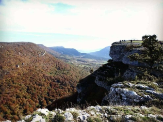 Fotos enviadas por los lectores durante el otoño de 2020.