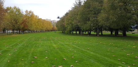 Fotos enviadas por los lectores durante el otoño de 2020.