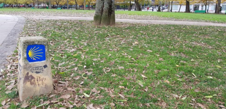 Fotos enviadas por los lectores durante el otoño de 2020.