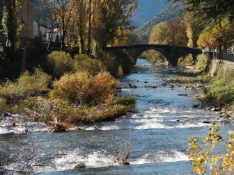Fotos enviadas por los lectores durante el otoño de 2020.