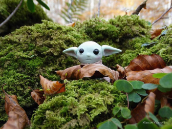 Fotos enviadas por los lectores durante el otoño de 2020.