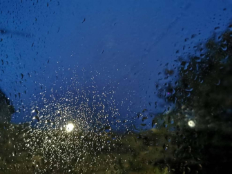 Fotos enviadas por los lectores durante el otoño de 2020.