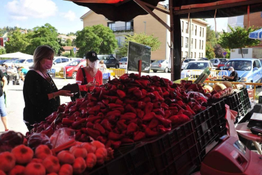 Como todos los años, la campa de la Fundación Mena de Puente la Reina desprende un olor inconfundible. Es temporada de pimiento y el tradicional mercado se ha adaptado a la pandemia