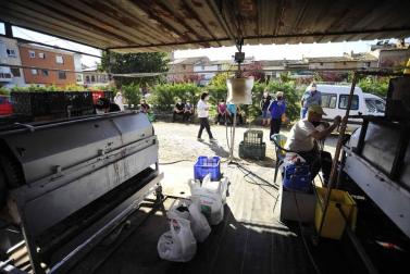 Como todos los años, la campa de la Fundación Mena de Puente la Reina desprende un olor inconfundible. Es temporada de pimiento y el tradicional mercado se ha adaptado a la pandemia