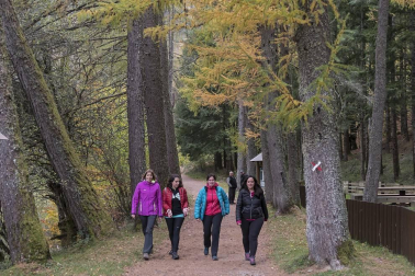 Irati se convierte en otoño en la primera opción de muchos excursionistas