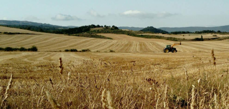 El verano, retratados por los lectores de Diario de Navarra