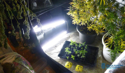 Material incautado en la operación contra el tráfico de drogas llevada a cabo por la Policía Municipal de Pamplona en el barrio de la Rochapea con un joven de 18 años detenidos.