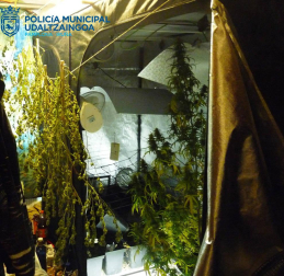 Material incautado en la operación contra el tráfico de drogas llevada a cabo por la Policía Municipal de Pamplona en el barrio de la Rochapea con un joven de 18 años detenidos.