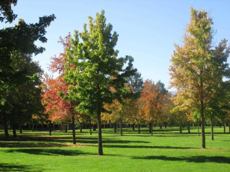 Fotos del otoño, retratado por los lectores de Diariodenavarra.es.
