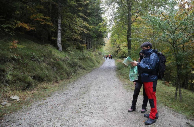 Galería de fotos de la selva de Irati y de turistas que se han acercado a ella en el puente de El Pilar.