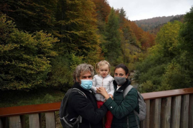 Galería de fotos de la selva de Irati y de turistas que se han acercado a ella en el puente de El Pilar.