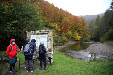 Galería de fotos de la selva de Irati y de turistas que se han acercado a ella en el puente de El Pilar.