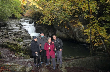 Galería de fotos de la selva de Irati y de turistas que se han acercado a ella en el puente de El Pilar.