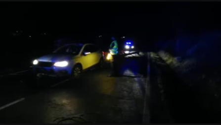 Intervención de la Guardia Civil por caída de árboles en Navarra