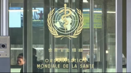 Los anticuerpos tras pasar la COVID duran al menos siete meses