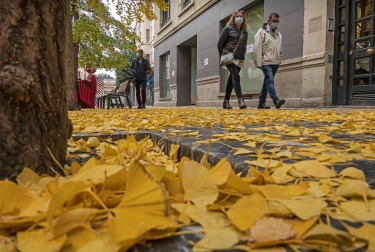 La semana del 2 al 8 de noviembre vista por los fotógrafos de Diario de Navarra.