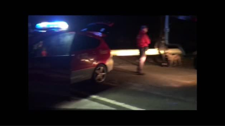 Vídeo del camionero imputado y denunciado en Bera