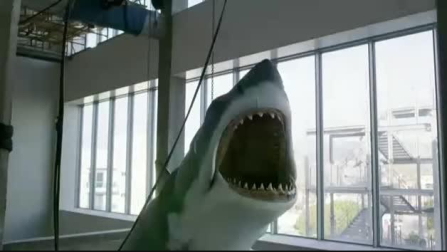 'Bruce', el tiburón de Spielberg, se expone en Los Ángeles
