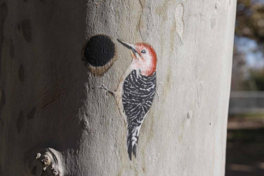 La colección del pintor ya suma 13 pequeñas obras de arte