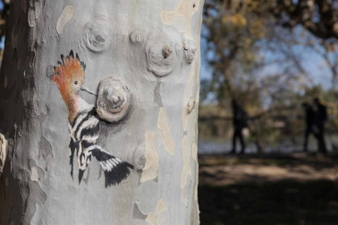 La colección del pintor ya suma 13 pequeñas obras de arte