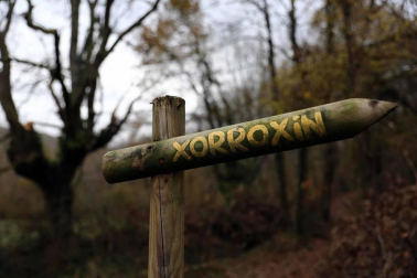 El recurso a los espacios naturales como vía de escape en el año del coronavirus ha llevado a abarrotar algunos puntos de Navarra
