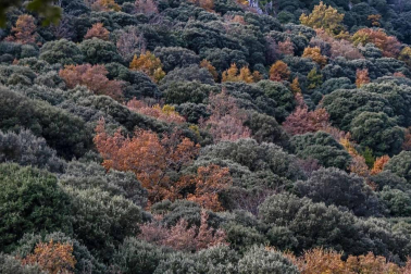 El recurso a los espacios naturales como vía de escape en el año del coronavirus ha llevado a abarrotar algunos puntos de Navarra