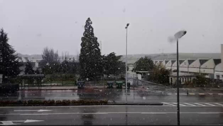 Vídeo de la nieve cayendo en Pamplona