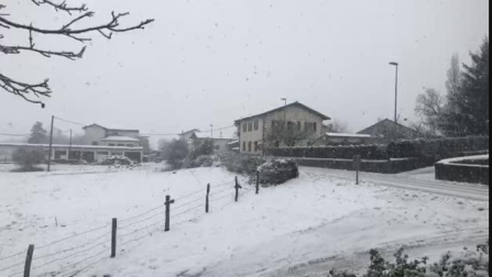 Vídeo de las nevadas en Lizaso
