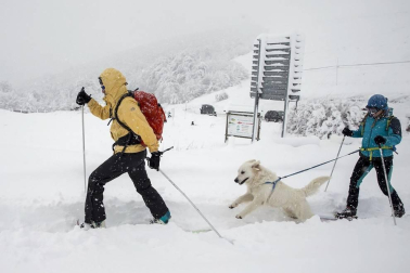 Fotos de Burguete, Roncesvalles y Espinal nevados tras la copiosa nevada