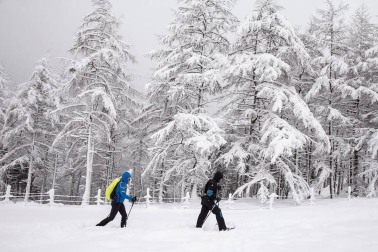 Fotos de Burguete, Roncesvalles y Espinal nevados tras la copiosa nevada