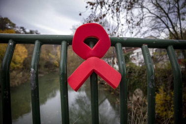 La semana del 30 de noviembre al 6 de diciembre vista por los fotógrafos de Diario de Navarra.
