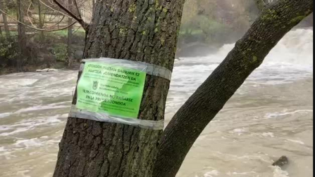 Vídeo: Crecida del río Arga en Huarte