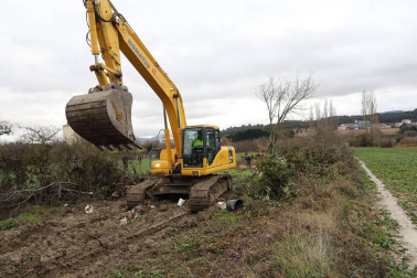 El Ayuntamiento de Pamplona elimina 13 cultivos ilegales situados sobre un viario público
