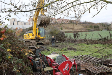 El Ayuntamiento de Pamplona elimina 13 cultivos ilegales situados sobre un viario público