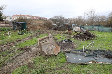 El Ayuntamiento de Pamplona elimina 13 cultivos ilegales situados sobre un viario público