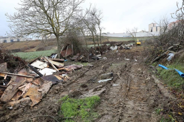 El Ayuntamiento de Pamplona elimina 13 cultivos ilegales situados sobre un viario público