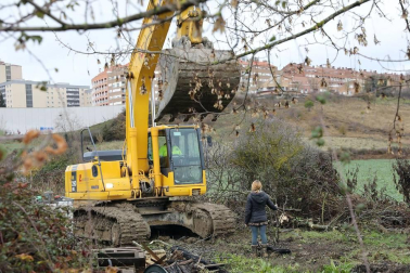 El Ayuntamiento de Pamplona elimina 13 cultivos ilegales situados sobre un viario público