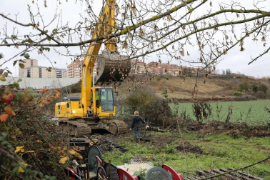 El Ayuntamiento de Pamplona elimina 13 cultivos ilegales situados sobre un viario público