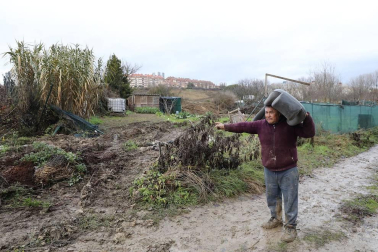 El Ayuntamiento de Pamplona elimina 13 cultivos ilegales situados sobre un viario público