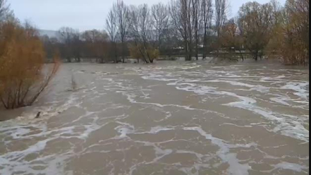 Vídeo del río Arga en la zona del molino de Caparroso